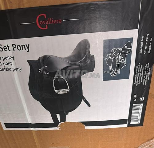 Selle de cheval - 2