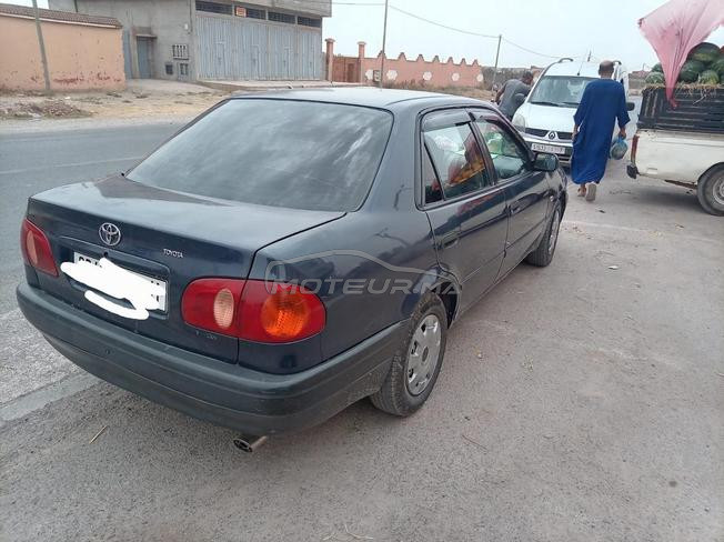 toyta corolla