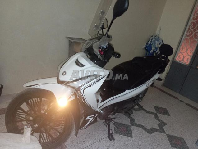 Scooter Citizen