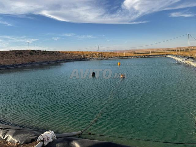 مزرعة للبيع - 2