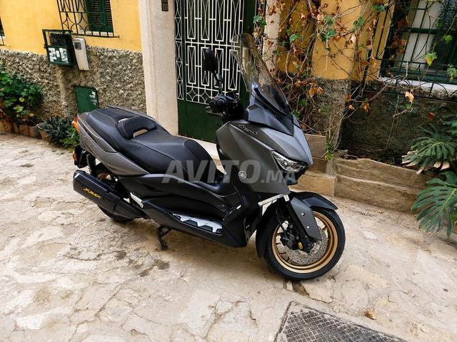Xmax Tech 300 - 2