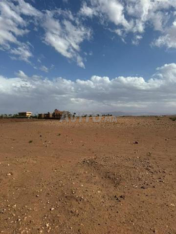 Terrain 1 Hectare Route du Barrage 17km Marrakech