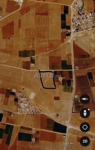 Terrain agricole 1 Hectare à Ouled Abbou Berrechid