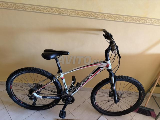 Olympia Bull 650B - 2