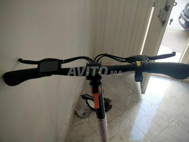 Trotinette Ecoxtrem