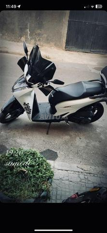 SH Honda 150cc Médina El Jadida - 2