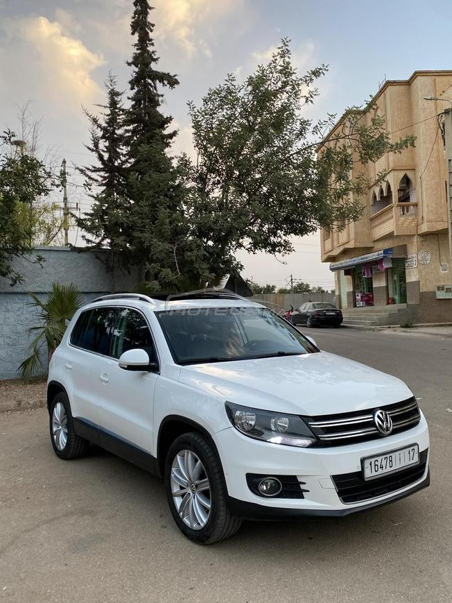 Volkswagen Tiguan 2013