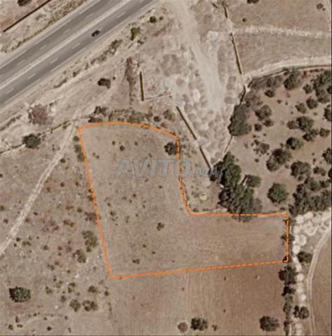 Terrain agricole Essaouira Ounagha RN8 4303m² - 2