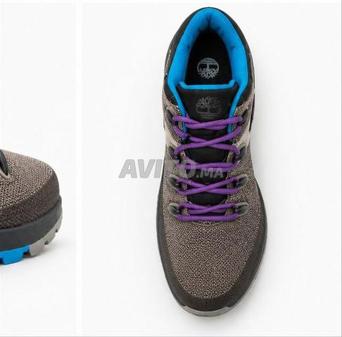 Timberland Field Trekker blue berry