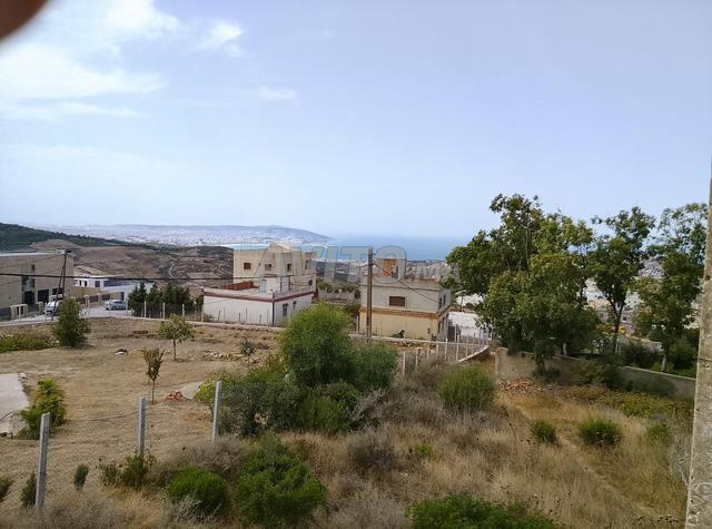 قطعة أرض - 2