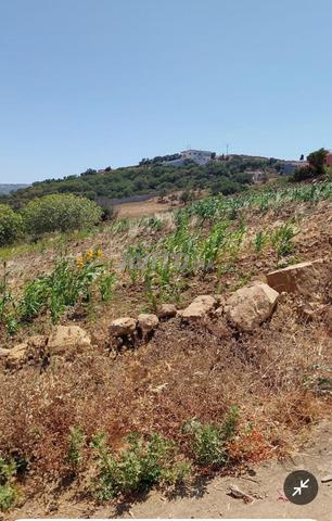 Terrain 560 m² à Sidi Kankouch zone villa - 2
