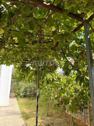 Appartement à louer 65 m² à Asilah - 2