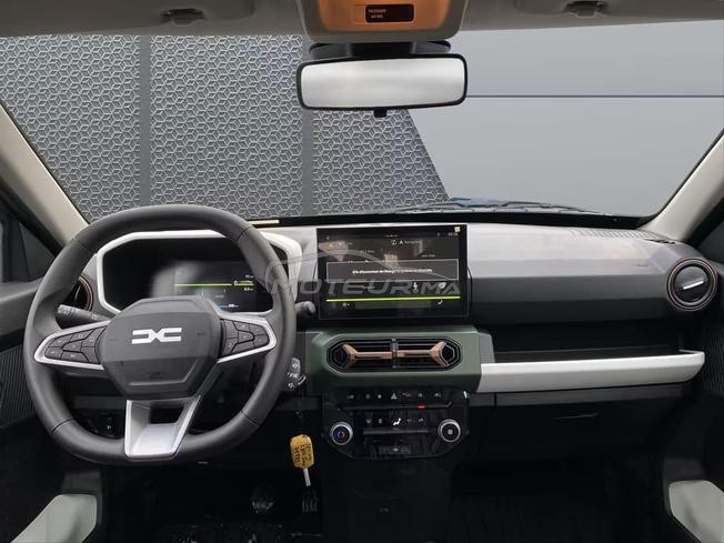 Dacia Spring Extreme