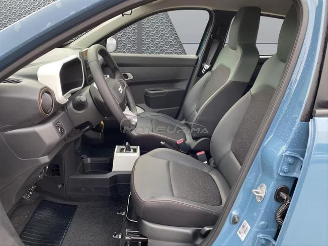 Dacia Spring Extreme