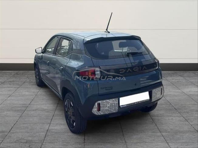 Dacia Spring Extreme