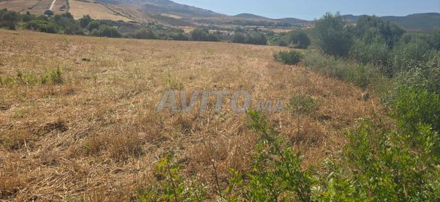 أرض للبيع بملوسة، طنجة مساحة 10,700م² - 2