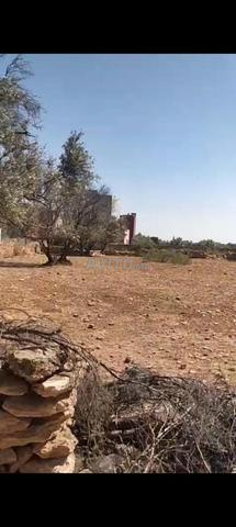 أرض للبيع - 2