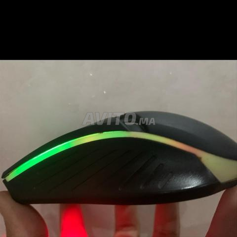 Souris pour le développement technologique RGB - 2