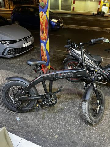 Vélo électrique Telus-Picala