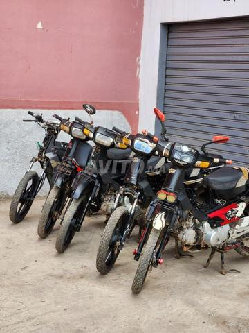 C50 سيزي رولاج - 2