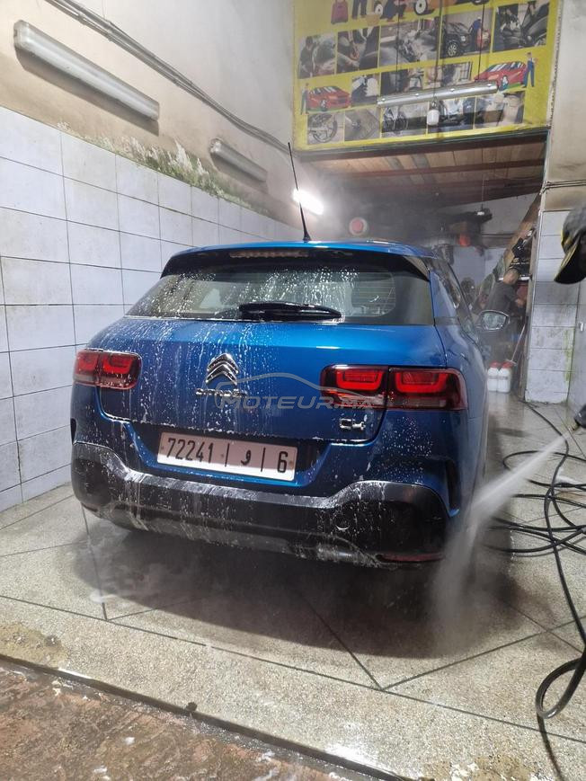 c4 cactus 