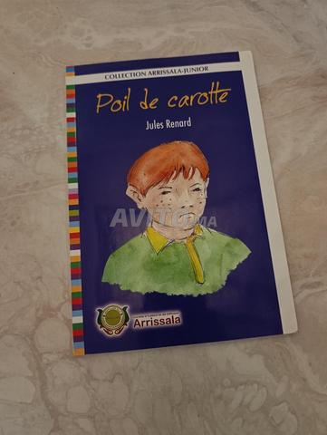 Œuvre Poil de carotte - 2
