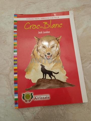 Œuvre Croc-Blanc - 2