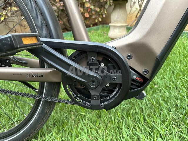 Hercules FUTURA BOSCH CX Courroie 1-F5 - 2