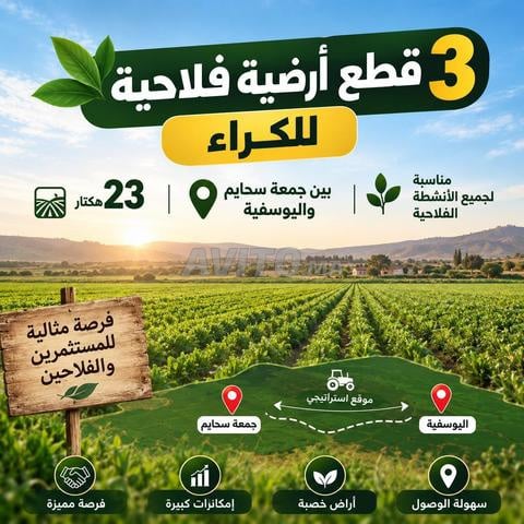 3 terrains agricoles à louer 23 hectares
