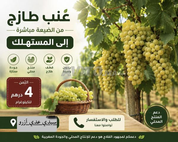 عنب طازج موسكا إيطاليا للبيع