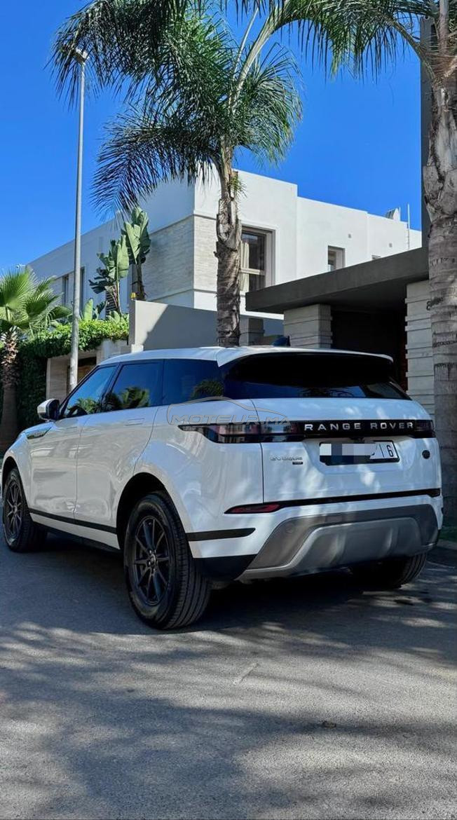 Range Rover Évoque “ BEBE VELAR “