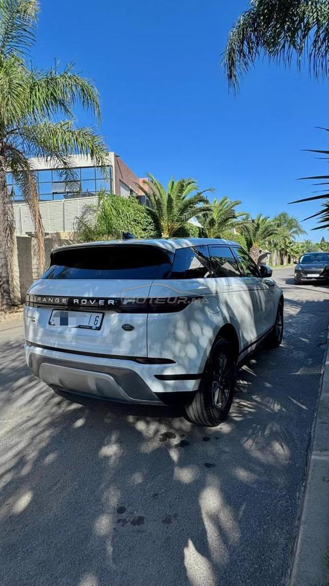 Range Rover Évoque “ BEBE VELAR “