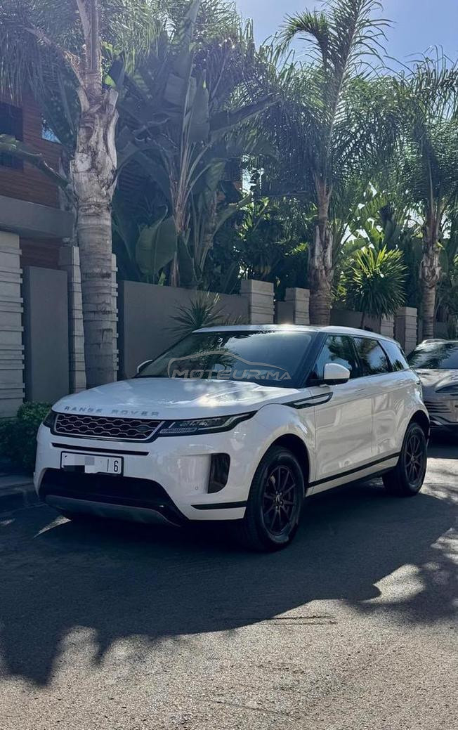 Range Rover Évoque “ BEBE VELAR “