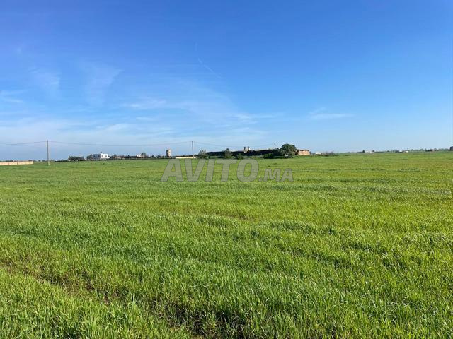 Terrain agricole à vendre - 2