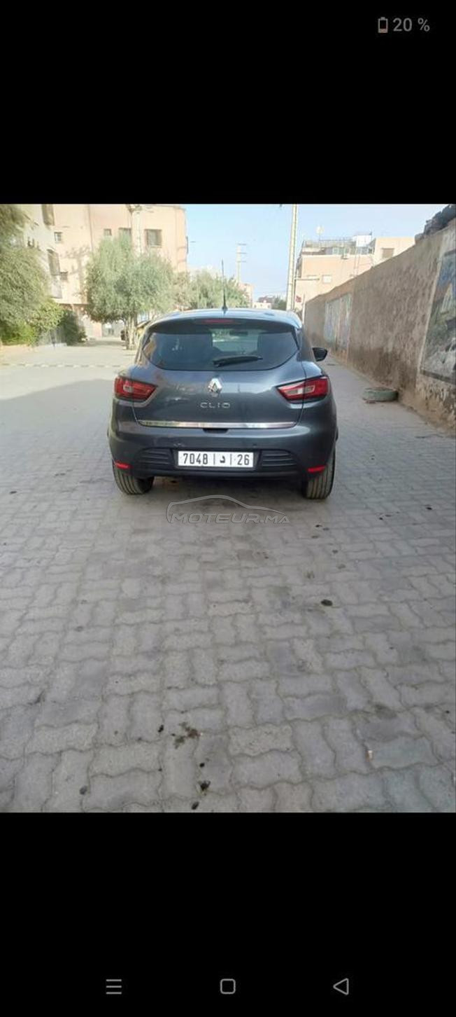 كليو نقية للبيع 