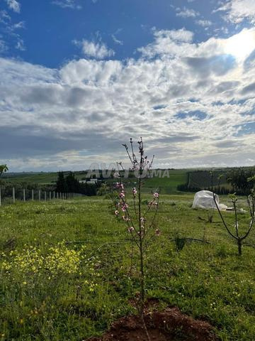 Ferme à vendre - 2