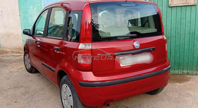 fiat panda
