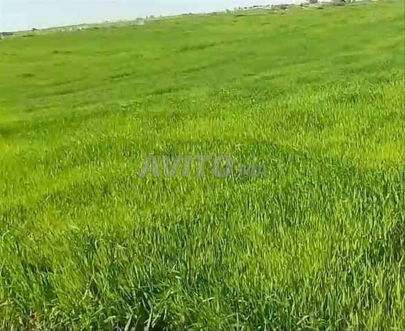 1 hectare agricole titré 35 millions - 2