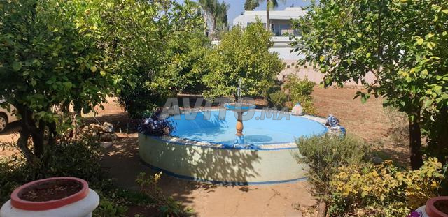 بقع أرضية فيرما - 2