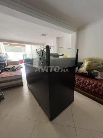 Comptoir réfrigéré à vendre - 2