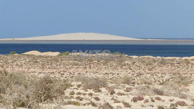À VENDRE TERRAIN DE 99 m² À DAKHLA VUE MER 🌊 - 2
