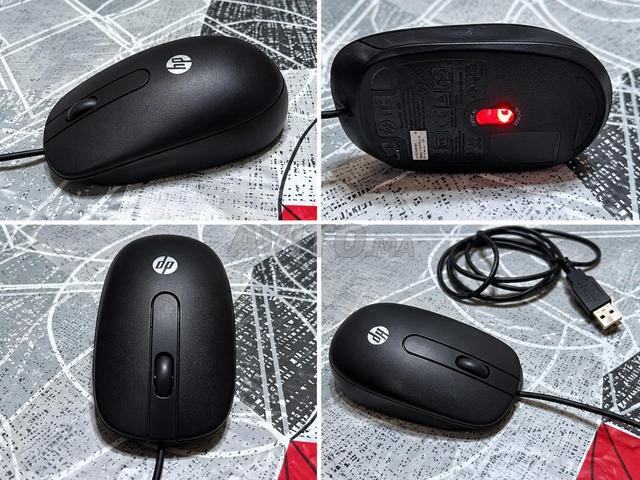 🖱️ Souris HP USB originale d'occasion – Fonctionne bien