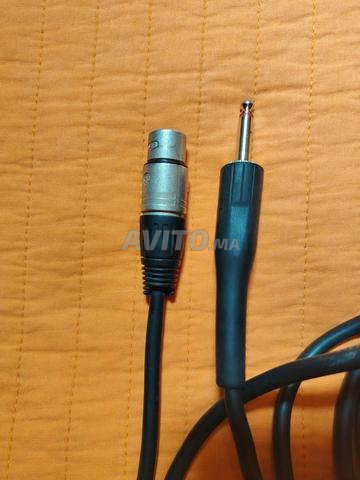 Câble Microphone - 2