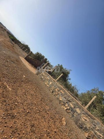 Terrain à vendre 2500m2 - 2