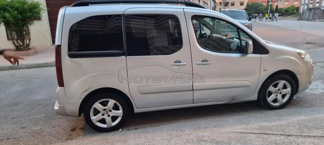 partner teppe