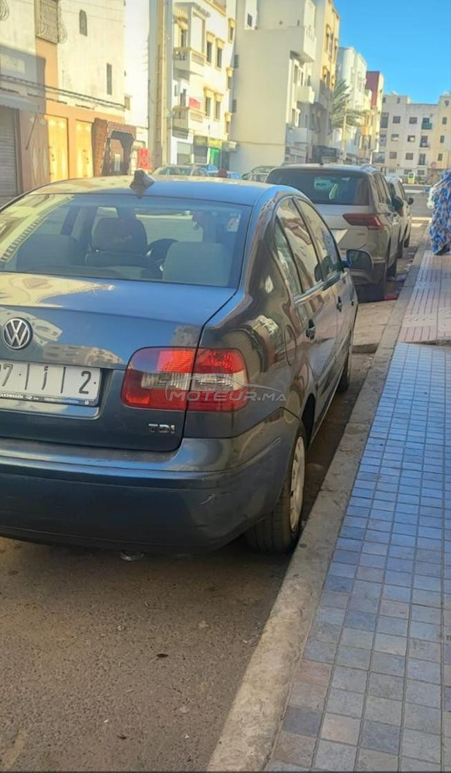 golf polo mazot model 2004
