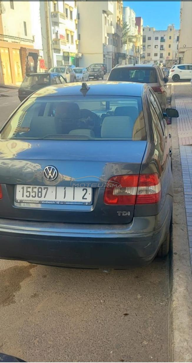 golf polo mazot model 2004