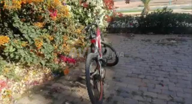 Vélo ORBEA en très bon état - 2