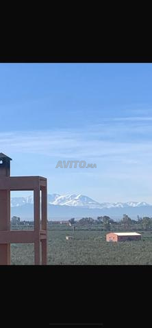 Maison R+3+terrasse à vendre à Marrakech - 2