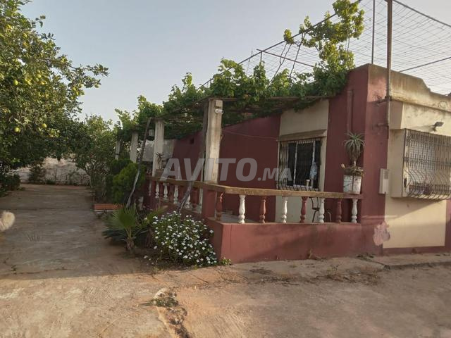 Immobilier - 2